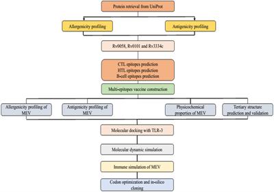 Insight Into Novel Anti-tuberculosis Vaccines by Using <mark class="highlighted">Immunoinformatics</mark> Approaches